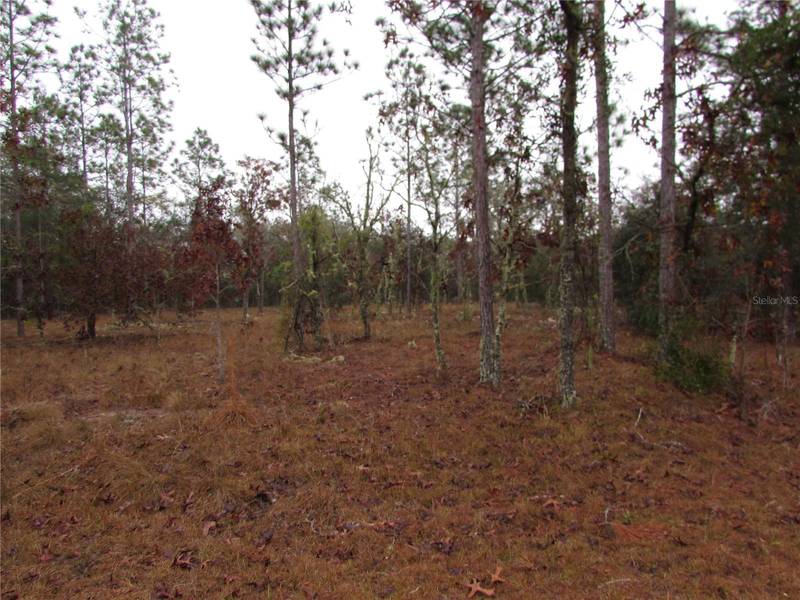 Lot 57 SE 131 TER, Dunnellon, FL 34431