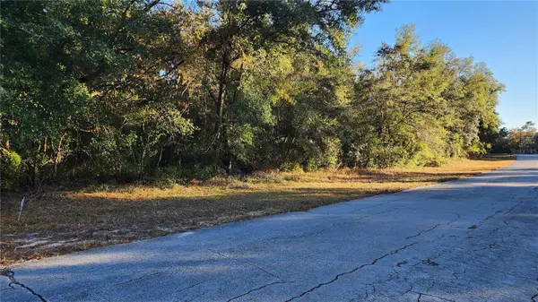 Citrus Springs, FL 34434,10189 N SABRE DR