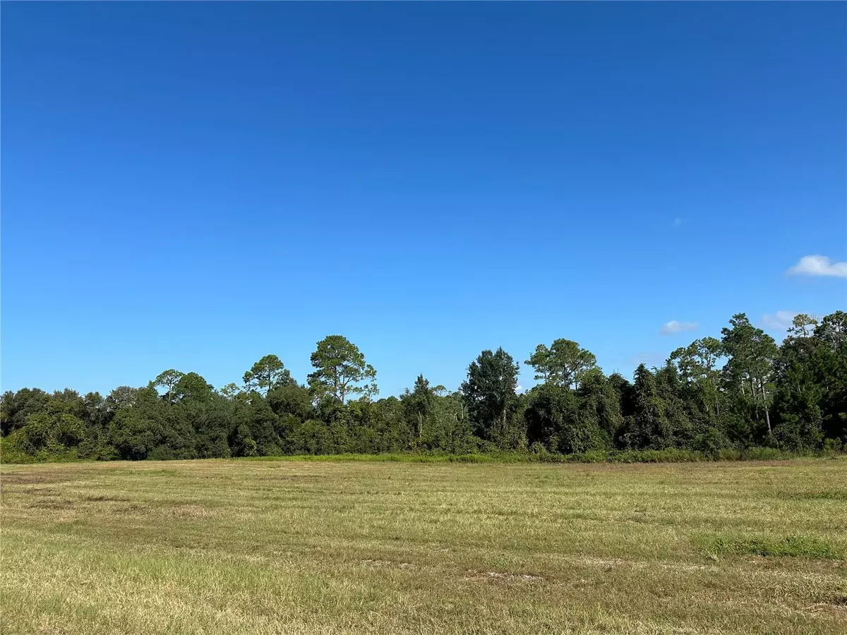 Citra, FL 32113,Lot 8 - 10.09ac E HWY 318