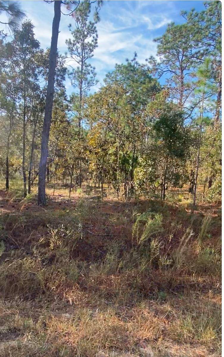 Dunnellon, FL 34431,LOT 15 NW HILLSDALE AVE