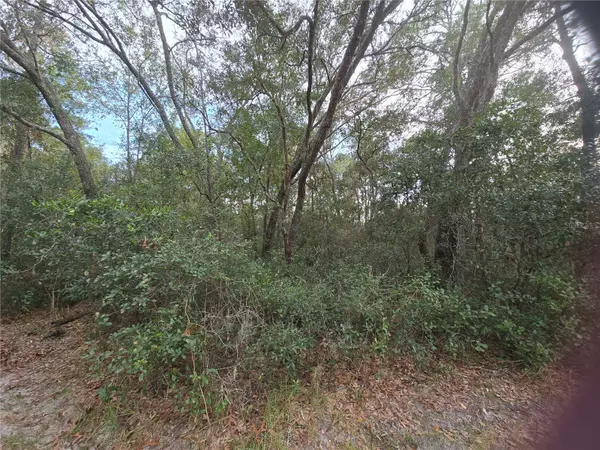 Dunnellon, FL 34432,0 SW 152 PL