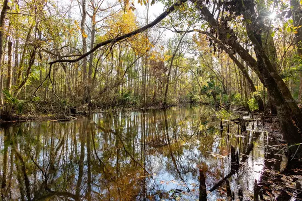 Gulf Hammock, FL 32639,CR 326