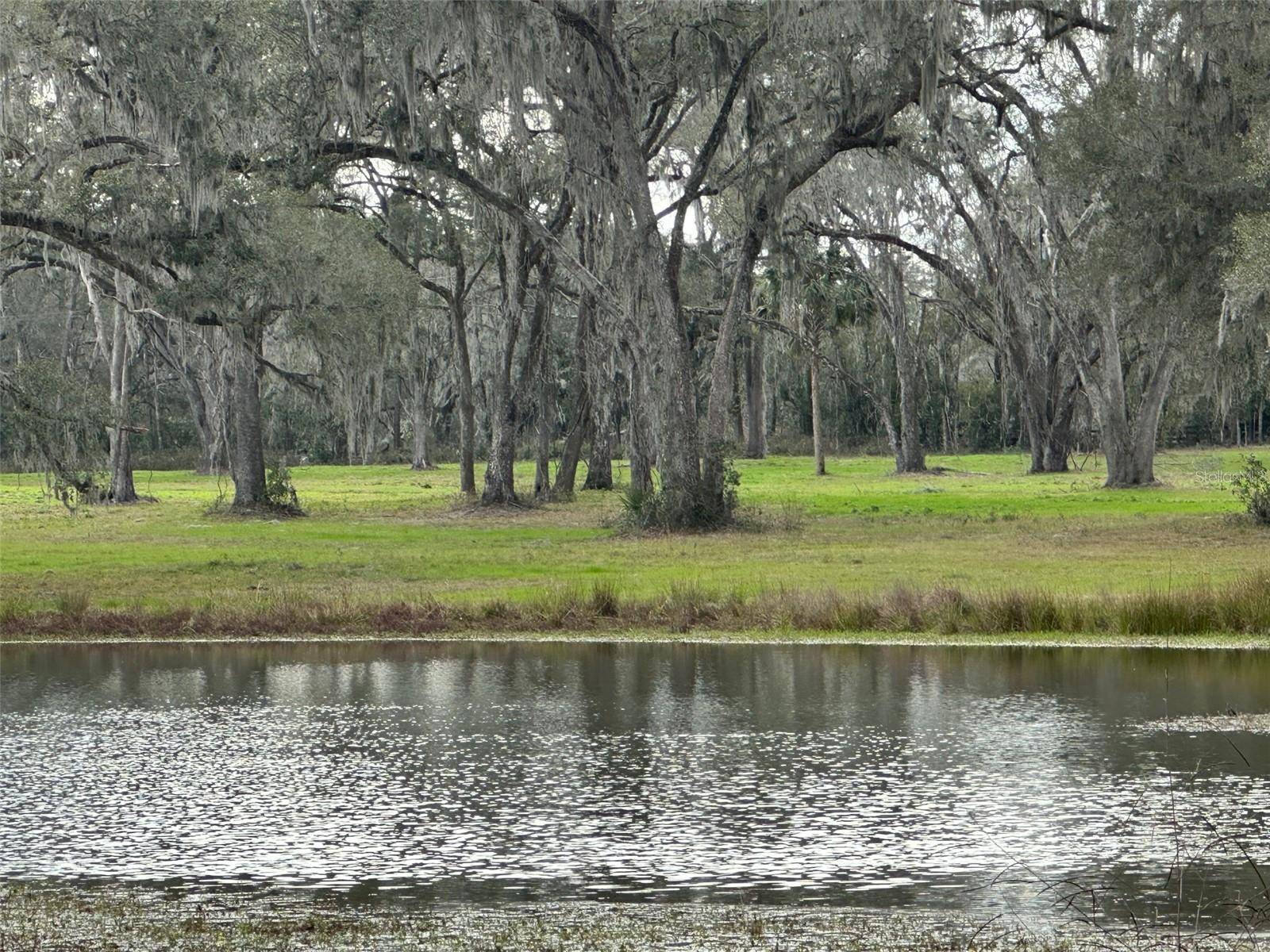 Reddick, FL 32686,TBD NW 160TH STREET
