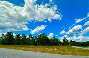 Dunnellon, FL 34431,185TH AVENUE