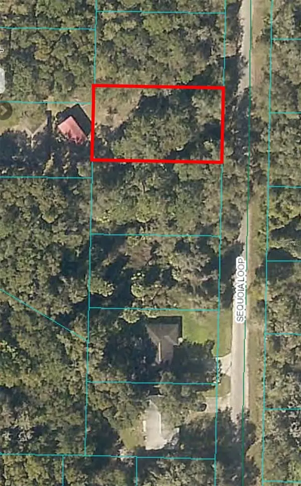 Ocklawaha, FL 32179,0 SEQUOIA LOOP