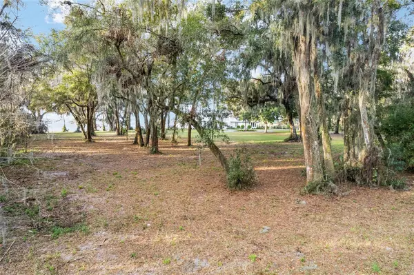 13254 E HIGHWAY 25, Ocklawaha, FL 32179