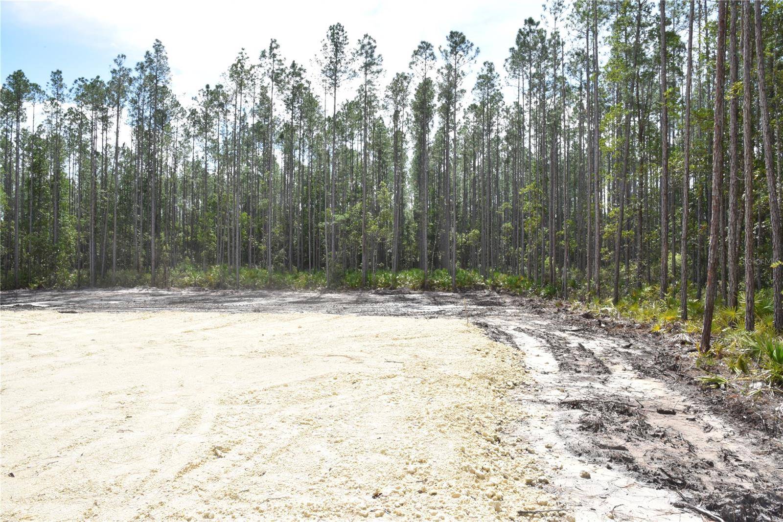 Fort Mc Coy, FL 32134,NE 130TH AVE