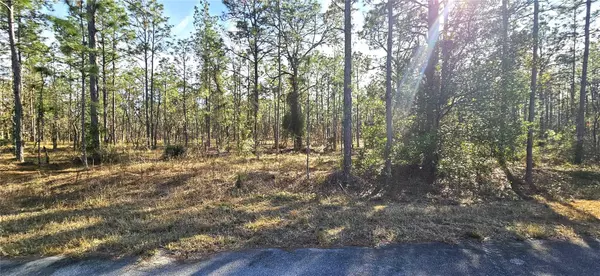 Lot 13 NW WATER OAK AVENUE, Dunnellon, FL 34431