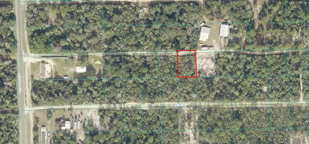 00 NE 235TH PL, Fort Mc Coy, FL 32134