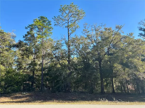 Dunnellon, FL 34431,Lot 23 SW 102 STREET RD