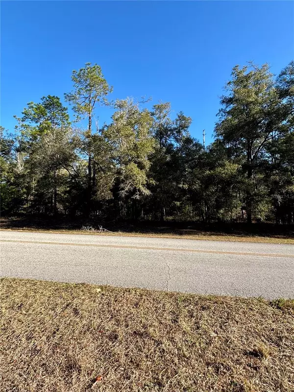 Lot 23 SW 102 STREET RD, Dunnellon, FL 34431