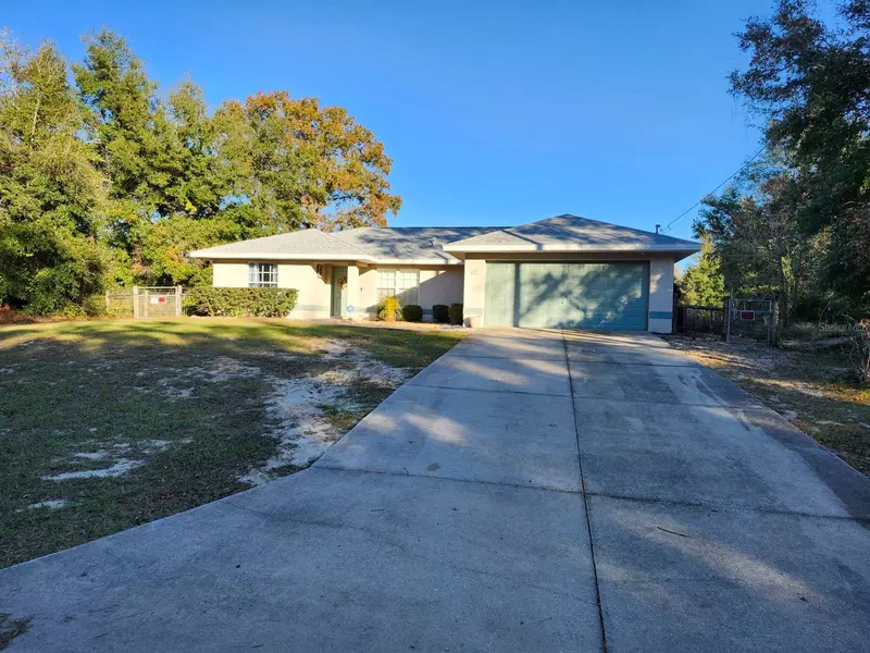 113 GUAVA TER, Ocklawaha, FL 32179