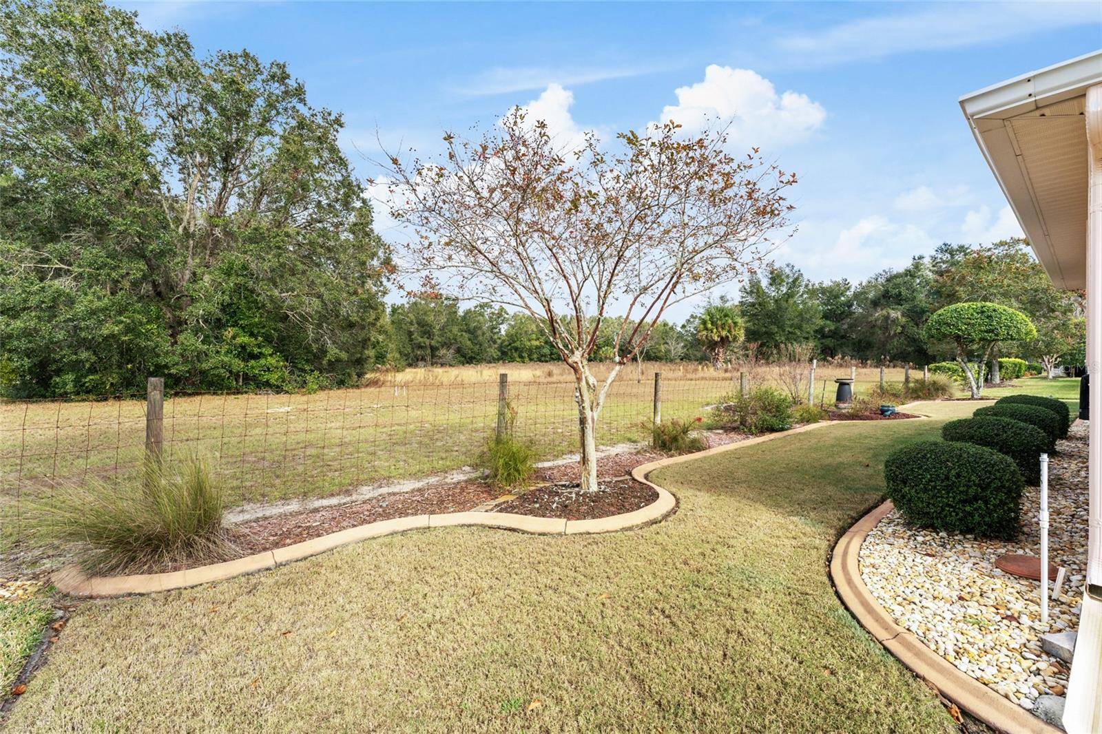 Summerfield, FL 34491,9910 SE 138TH LOOP