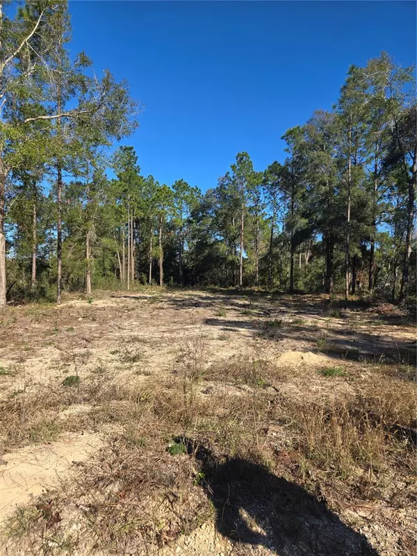 Dunnellon, FL 34432,TBD SW 49TH PLACE