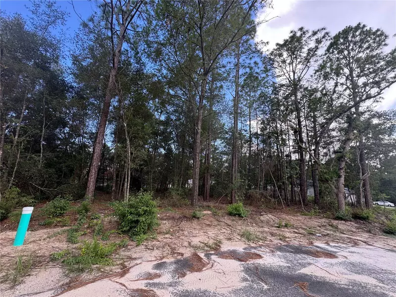 0 BAHIA CIRCLE DR, Ocala, FL 34472