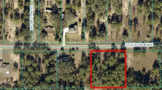 Dunnellon, FL 34431,00 SW AUDUBON AVE