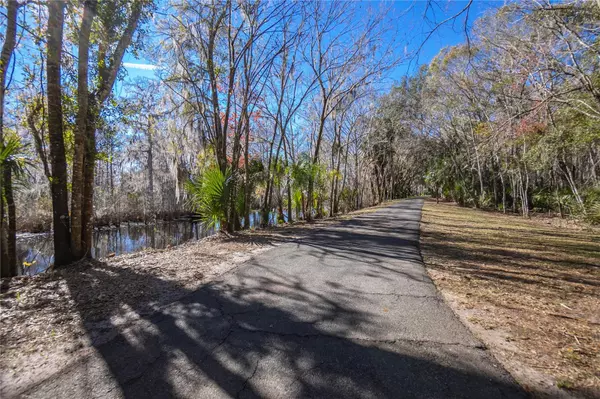 Lake Panasoffkee, FL 33538,4925 CR 309B