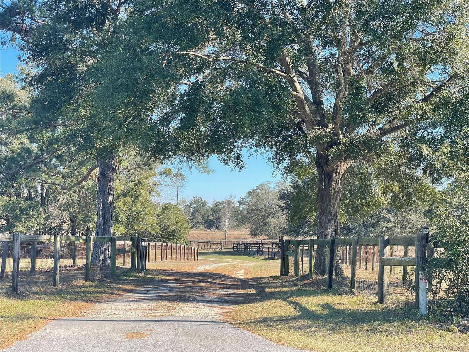 Morriston, FL 32668,9249 NW 160TH AVE