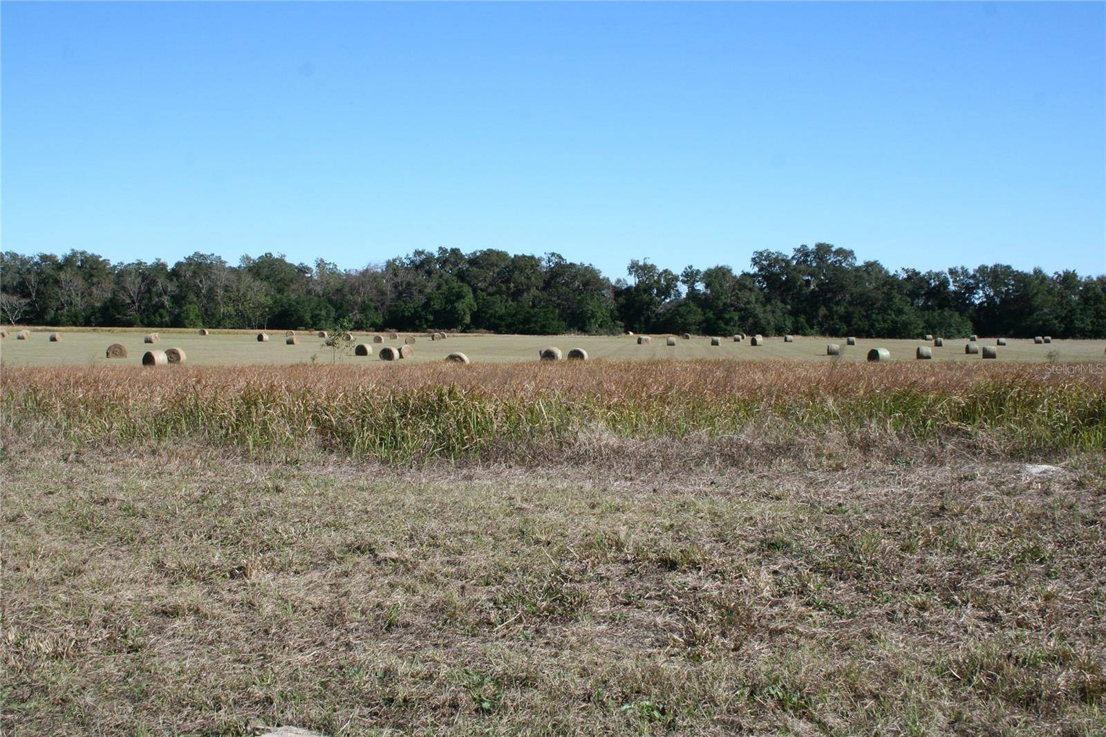 0 S US HWY 301, Summerfield, FL 34491