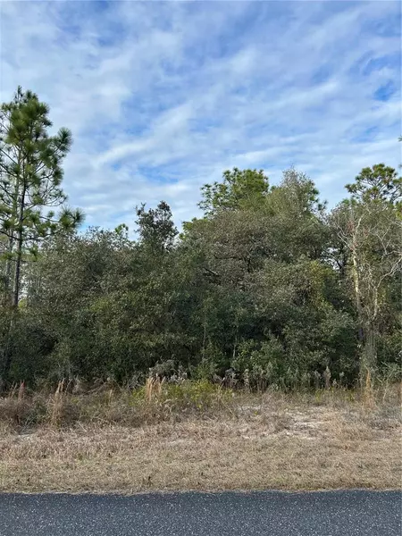 SW HUCKLEBERRY LANE, Dunnellon, FL 34431