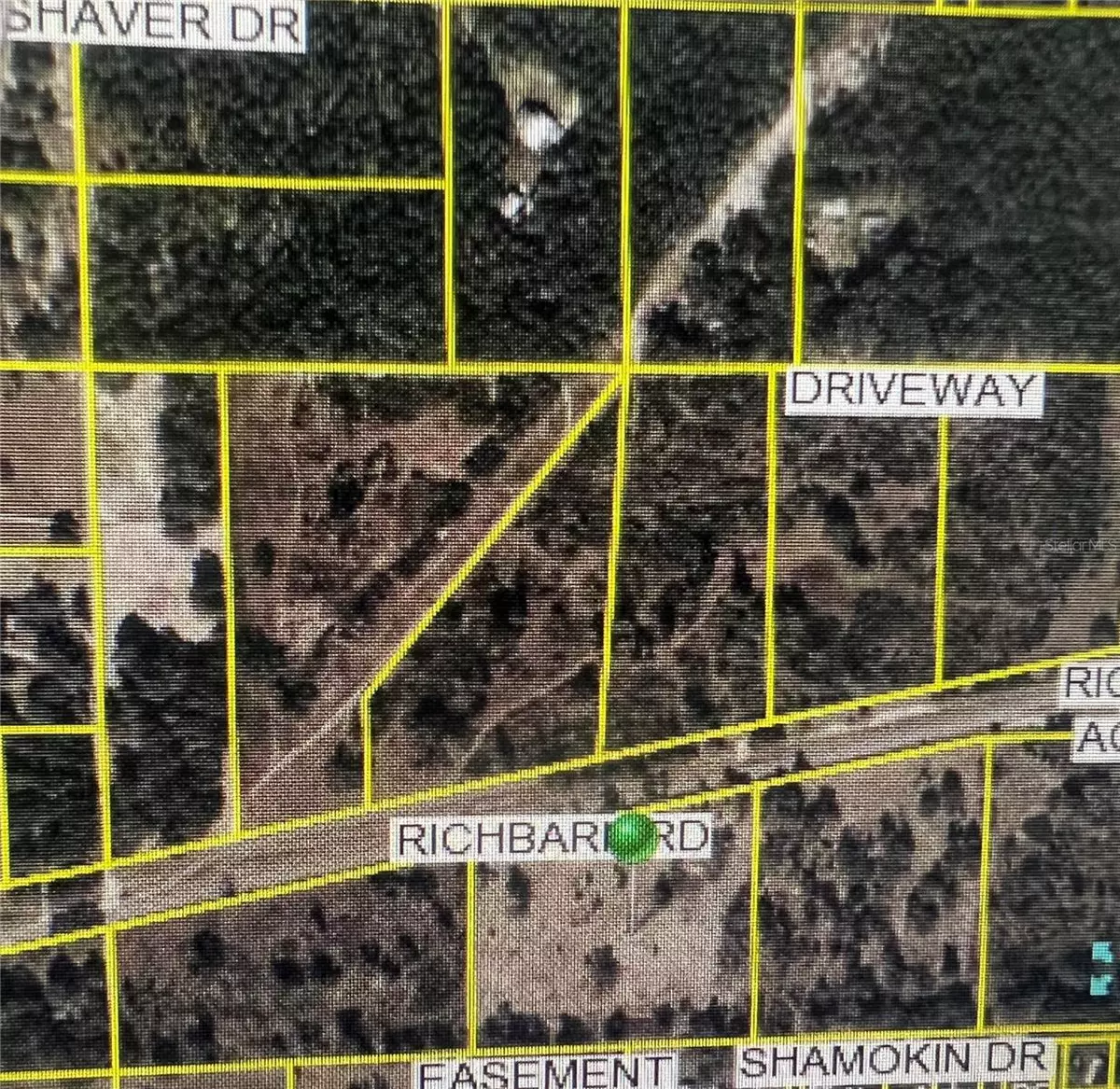 Brooksville, FL 34601,TBD RICHBARN RD