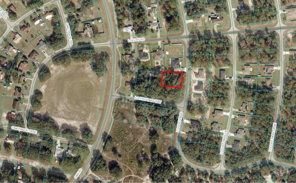 TBD LOCUST PASS, Ocala, FL 34472