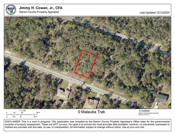 0 MALAUKA TRAK, Ocklawaha, FL 32179