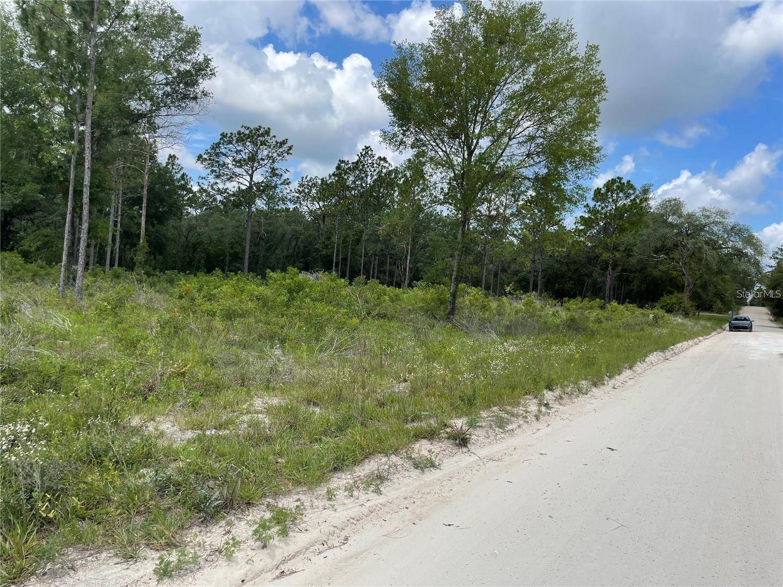 TBD SE 23RD PL, Morriston, FL 32668