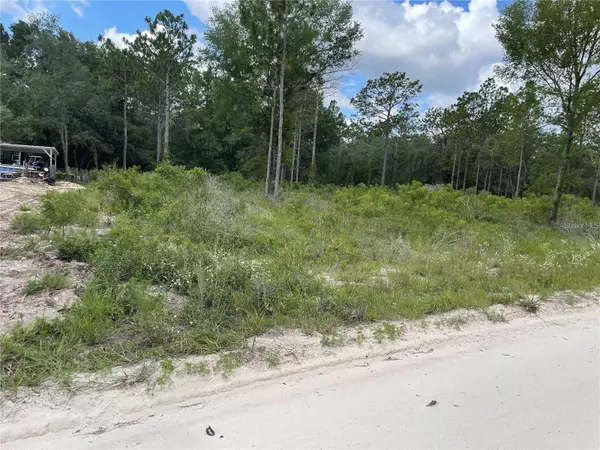 Morriston, FL 32668,TBD SE 23RD PL