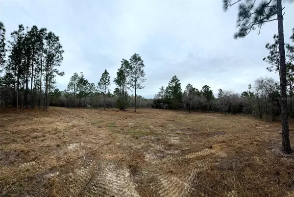 Morriston, FL 32668,TBD SE 133RD TER