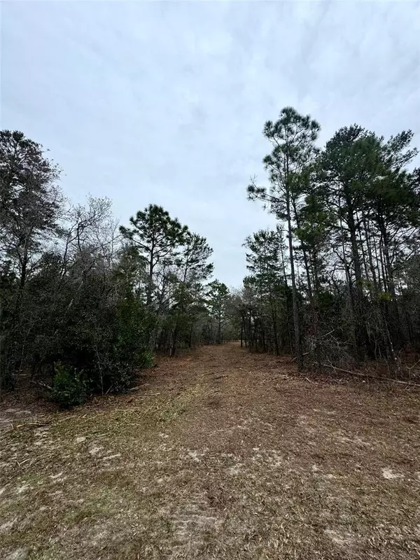 Morriston, FL 32668,TBD SE 133RD TER