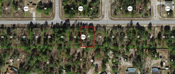 Dunnellon, FL 34433,3308 W EUNICE DR