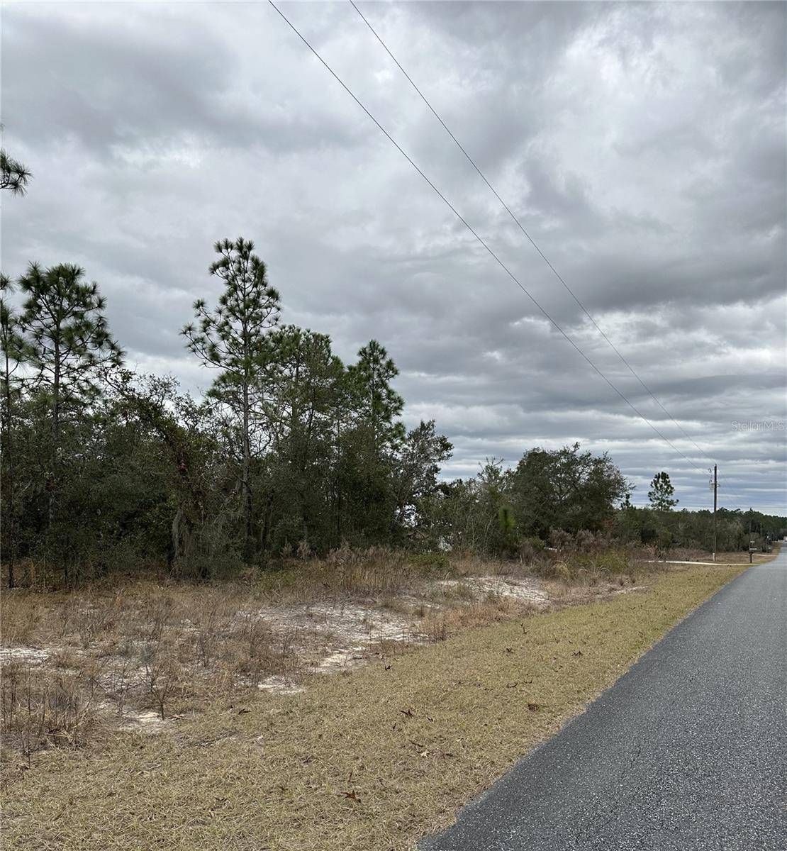 Dunnellon, FL 34431,SW OBEE RIDGE RD