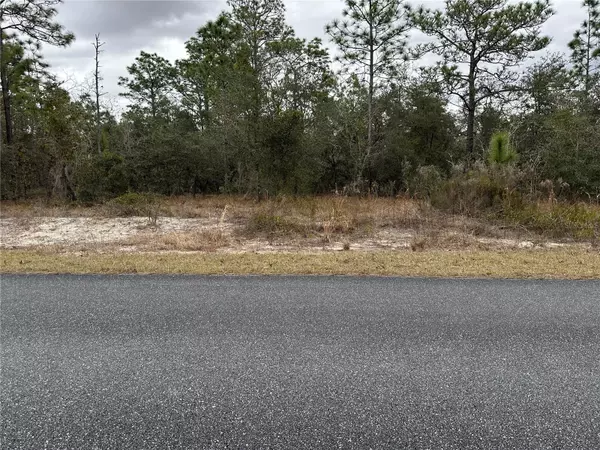 SW SW OBEE RIDGE RD RD, Dunnellon, FL 34431