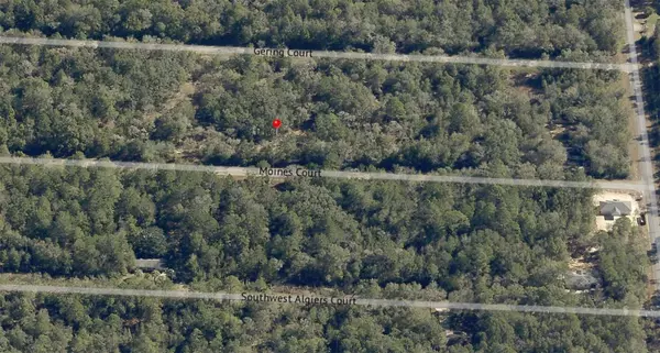 Dunnellon, FL 34431,Lot 36 SW MONINES CT