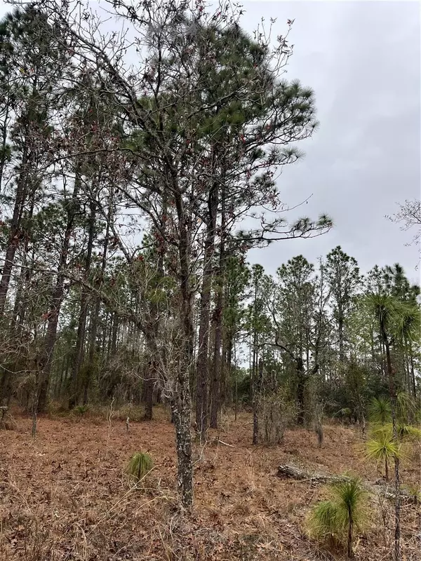 Dunnellon, FL 34431,Lot 57 NW SKYLARK ST