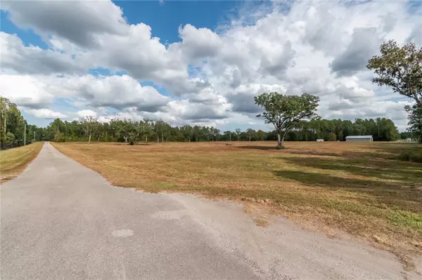 Reddick, FL 32686,NW 116TH CT