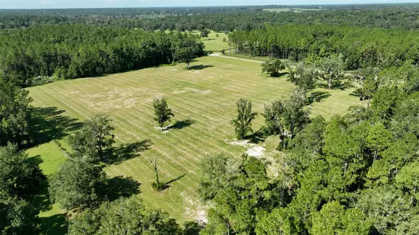 Reddick, FL 32686,NW 116TH CT