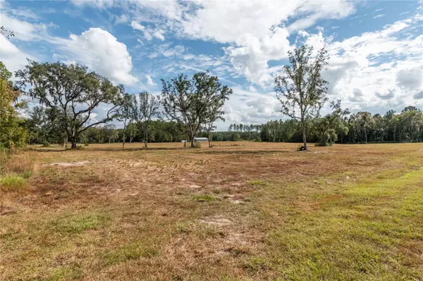 Reddick, FL 32686,NW 116TH CT