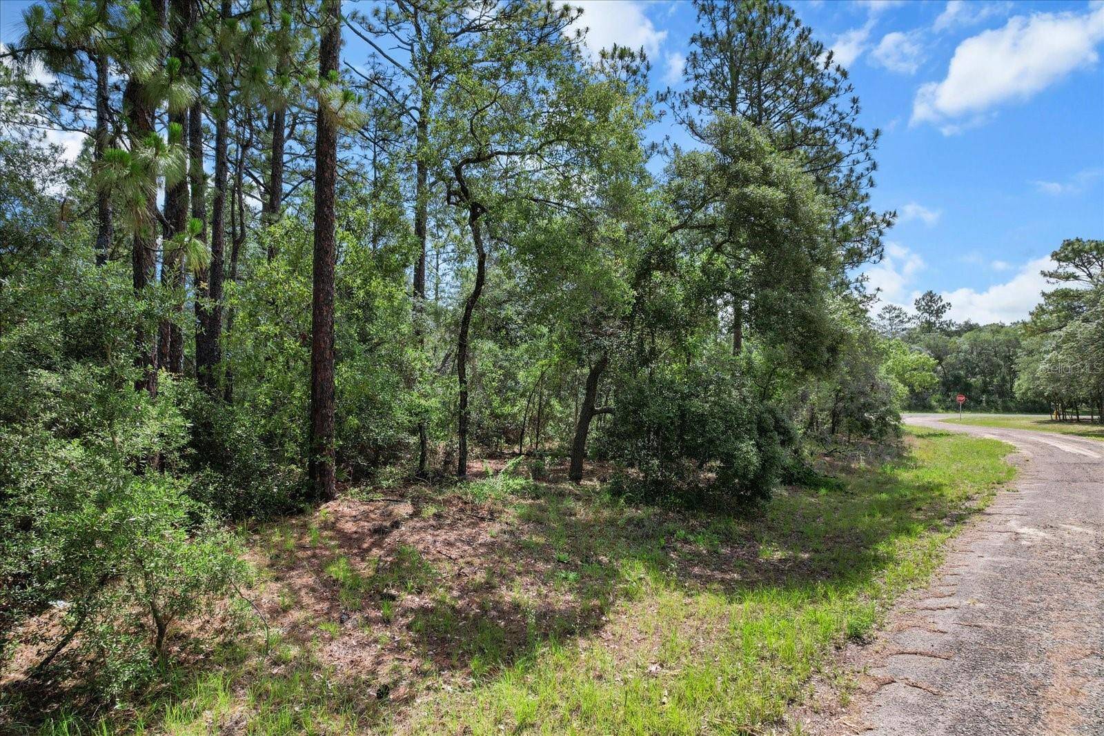 Citrus Springs, FL 34433,3621 W NORWICK PL