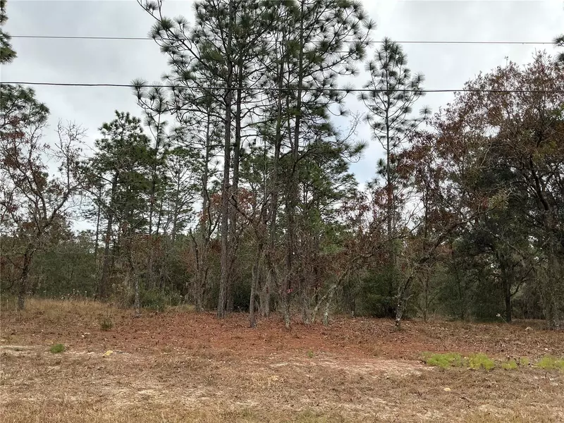 00 SW 207TH LOT 8 CT, Dunnellon, FL 34431