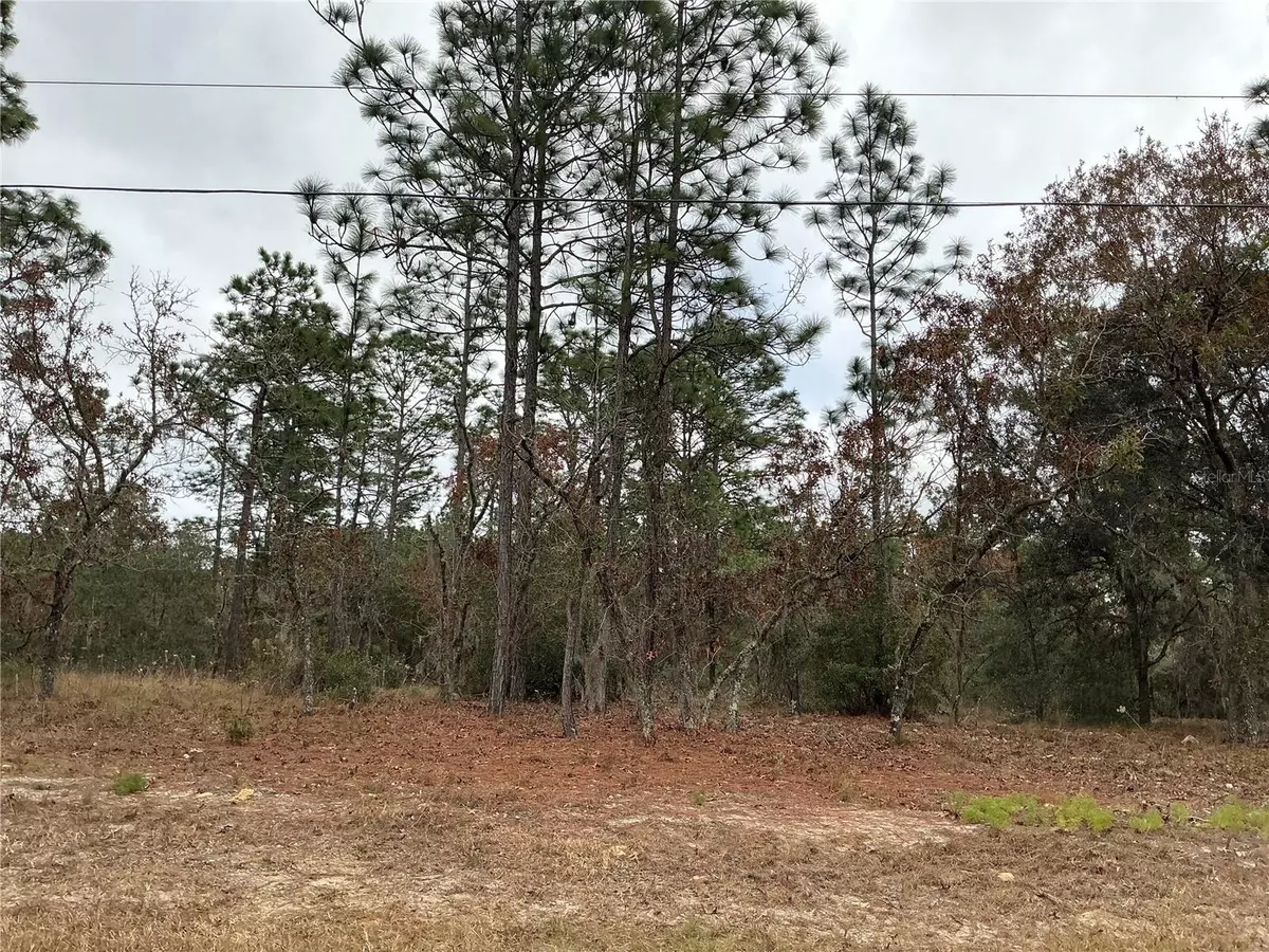 Dunnellon, FL 34431,00 SW 207TH LOT 8 CT