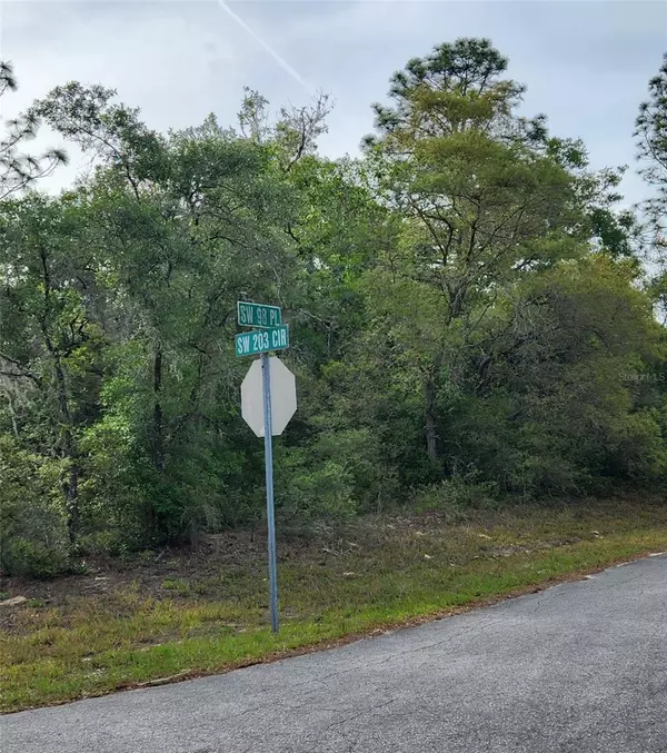 Dunnellon, FL 34431,TBD SW 98TH PL