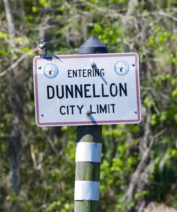 Dunnellon, FL 34431,0 SW HALF MOON DR