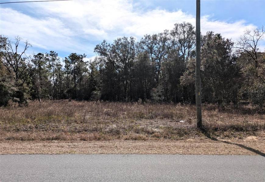 SW BEACH BLVD, Dunnellon, FL 34431