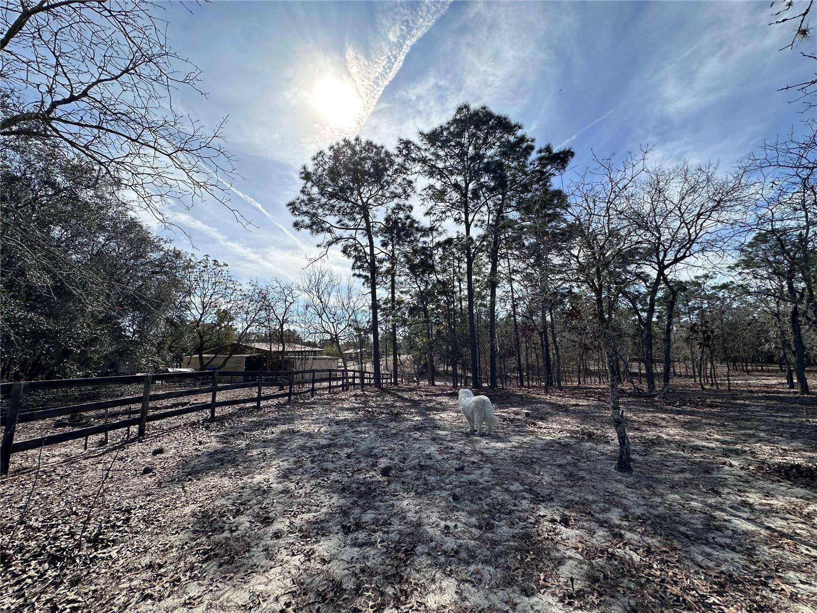 TBD SE 73RD LN,  Morriston,  FL 32668
