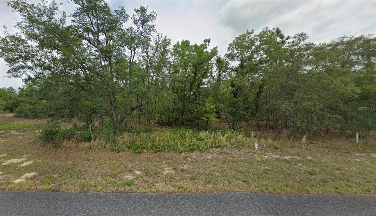 1343 W DUPONT DR, Citrus Springs, FL 34434