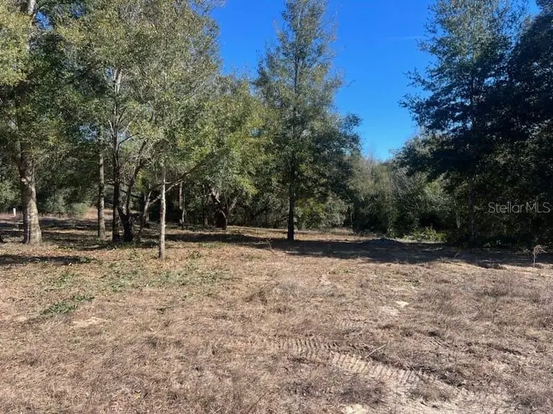 Inverness, FL 34453,708 S SAVARY AVE
