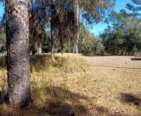 Lot 9 SW 207TH CT, Dunnellon, FL 34431