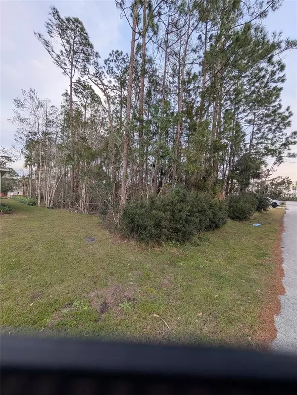 Palm Coast, FL 32164,51 LLAMA TRL